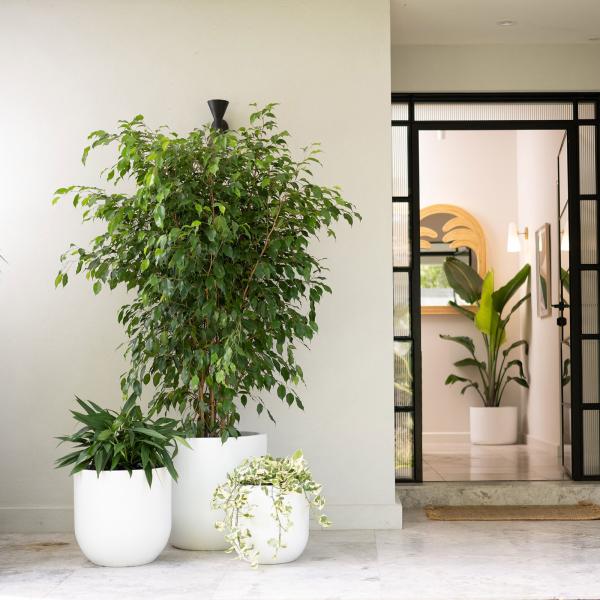 Strong Fiberglass Flower Pots Light Weight GRP Planter Box For Outdoor Indoor Decor