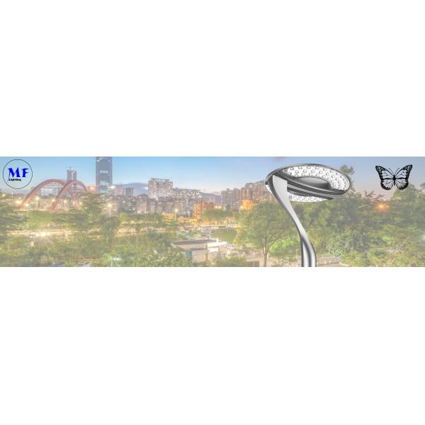 Factory price 25W 50W 75W 120W IP65 5years Warranty LED Garden Street Light With High Efficiency Driver For Garden Parki