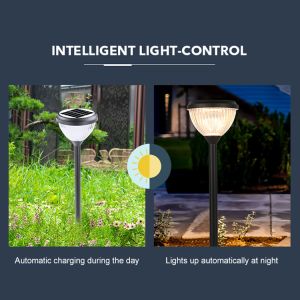 Durable Garden Solar Outdoor Lawn Lights Water Resistant 3000k 6000k
