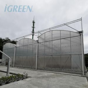 IGreen Tunnel Strawberry Greenhouses PE Greenhouse for Vegetable and Flower