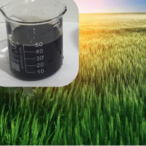 Quality Liquid Compound Amino Acid Chelated Micronutrients Calcium Magnesium for sale