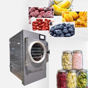 Small Vacuum Freeze Dryer SUS304 Electric Heating Home Use