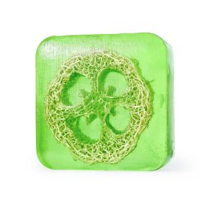 Loofah Aloe Handmade Soap Essential Oil Soap Customizable Volume