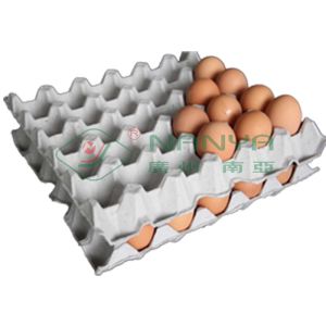 1800Pcs / H Moulded Pulp Egg Carton Machine Full Automatically