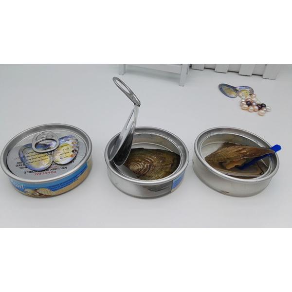 Buy Wholesale Canned Genuine Oyster Shell Pearl In Can at wholesale prices