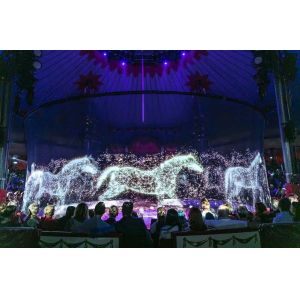 3D Hologram Projector Screen For Holographic 360 Degree Stage Immersive