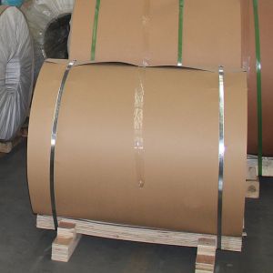 5000 Series Corrosion Resistance 5182 Aluminum Coil Beverage Pull Tab