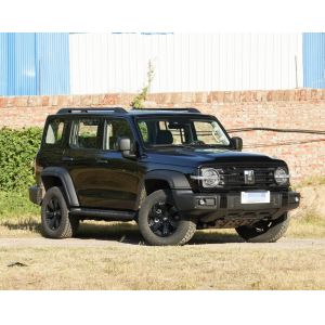 Cool 2023 Tank 300 2.0T City Model Challenger Version Compact SUV 5 Door 5 Seats