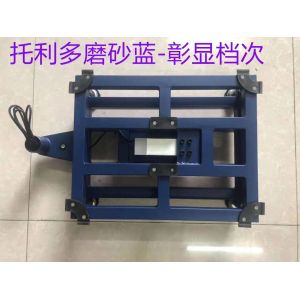 100kg 120kg 500kg SS Platform Digital Bench Weighing Scale