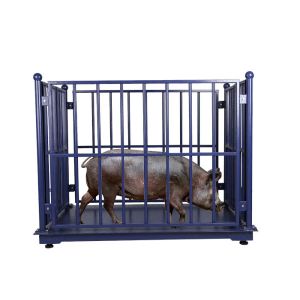 Anti Rust 3000KG Digital Livestock Scales With Fence