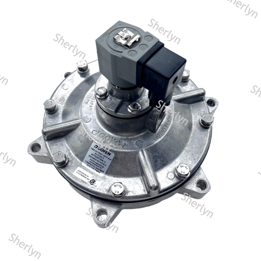 GOYEN CA76MM 3'' Inch Submerged Pulse Electromagnetic Valve CA76MM040-305