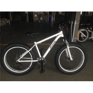 26 inch Russia Mountain Bike MTB OEM Adult Bicycle 21 Speed 24 Speed Steel Fork