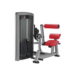 OEM Back Extension Gym Physical Workout Equipments
