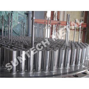 Quality S31803 Duplex Stainless Steel Climbing film evaporator for sale