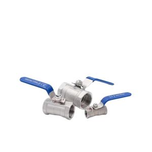 Temperature Normal Temperature 1PC Bsp Thread Ball Valve SS304/SS316 1000wog for
