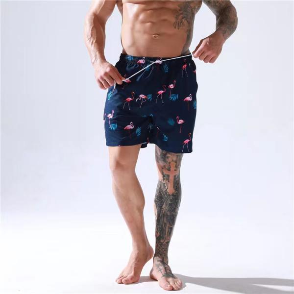 Printed Mens Beach Wear Shorts Quick Drying Comfortable Mens Swimming Trunks