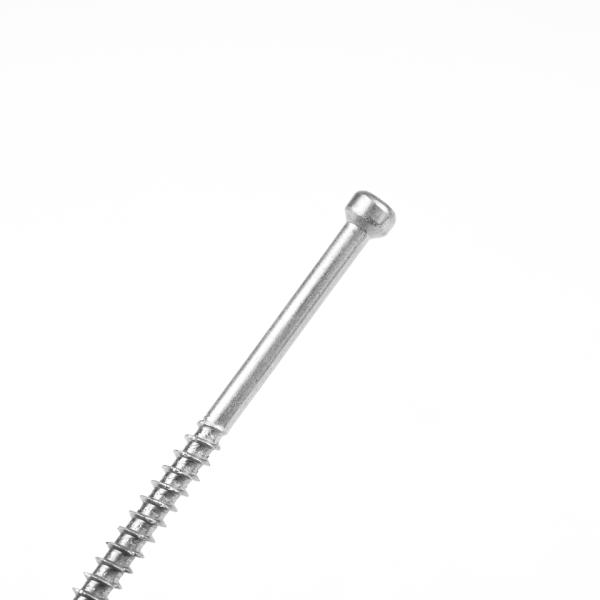 Exquisite Workmanship Fillister Torx Deck Screws for Particle Board and Wood Chipboard
