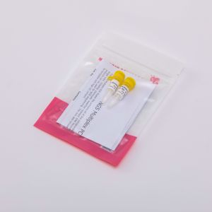 1ml 2X NGS Multiplex PCR Master Mix 40 Reactions GDSBio