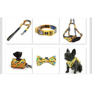 Dogs Polyester Custom Sublimation Blank Personalized Pet Collar and Leash