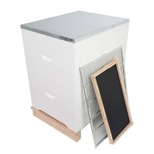 Plastic Frame 20mm Thick Pine Beekeeping Beehive With Foundation