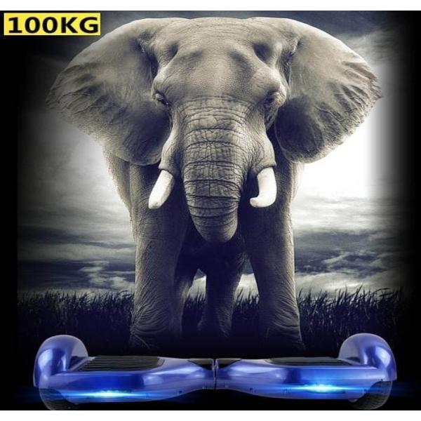 Buy Two wheel smart self balancing scooter/electric unicycle/wheelbarrow /monocycle for GK-F9 at wholesale prices