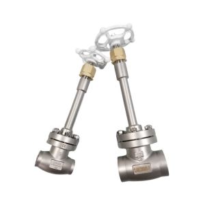 SS304 CF8 DN50 Low Temperature Socket Weld Globe Valve