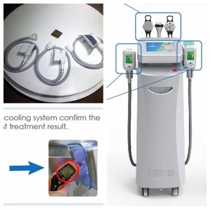 Quality Cryolipolisis Cryotherapy Fat Freezing Machine Cool Sculpting technology CE approval for sale