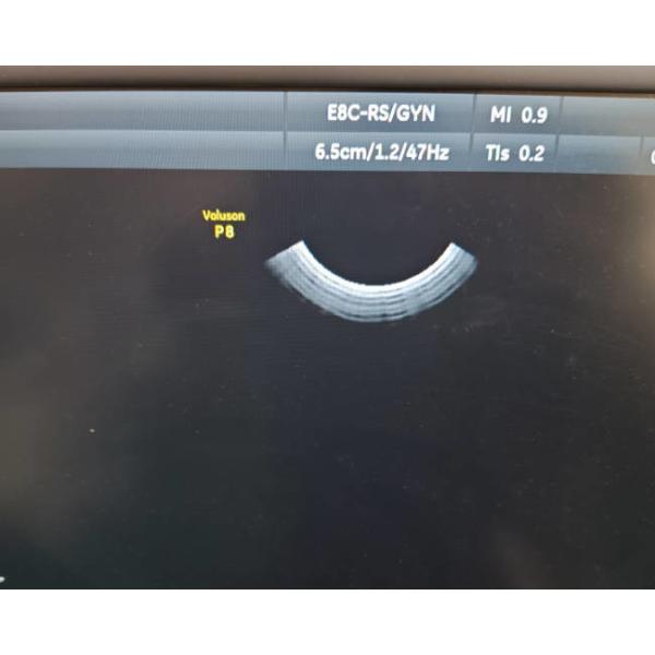 Buy GE E8C-RS Compatible Ultrasound Probe Intracavity Transducer Electronic Diagnostics For Medical Imaging at wholesale prices