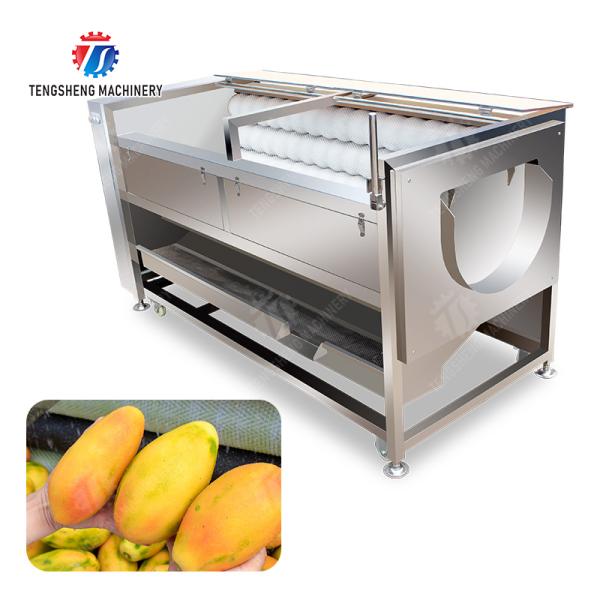 Large scale brush Washing cleaning and peeling machine Ginger Potato Carrot Taro
