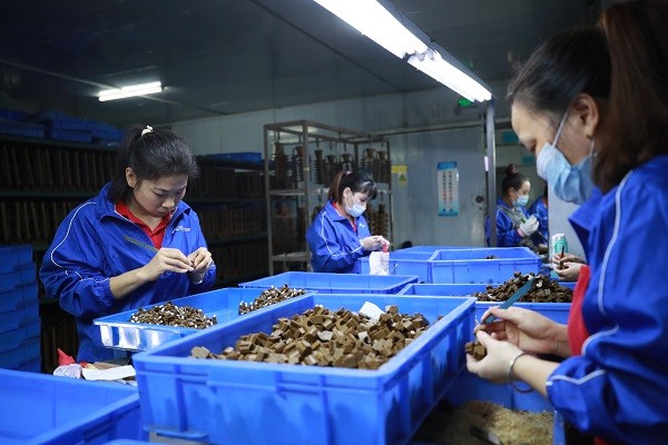 Customized Stainless Steel Vacuum Casting Service Lost Wax Investment Casting Process