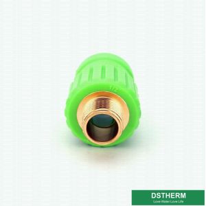 Quality Equal Shape Male Threaded Coupling , Welding PPR Male Threaded Socket for sale