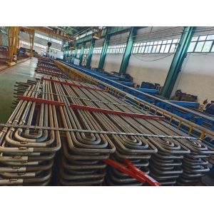 Customized Design Serpentine Tube Boiler Structure Superheater And Reheater