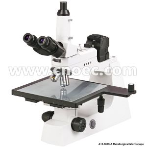 Quality Trinocular Metallurgical Optical Microscope Halogen Lamp A13.1019 for sale