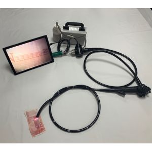 Portable Veterinary USB Video Gastroscope and Colonscope