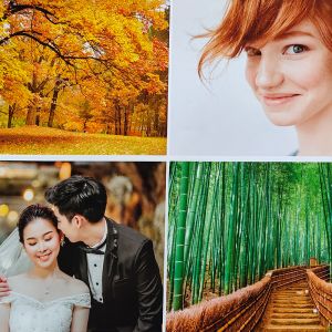 Black 2.84mm Photopolymer Digital Solvent Plate For Flexo Printing