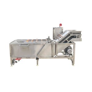 China Fresh Mango Brush Roller 500kg/hour Vegetable Washing Machine on sale