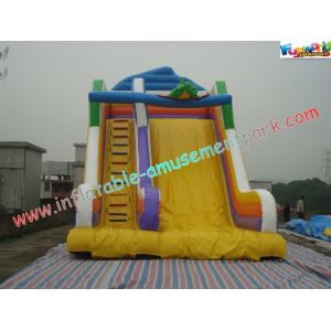 Customized Commercial Inflatable Water , Giant Inflatable Jumper Slide Toys