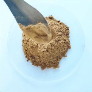 herbal sex medicine for men/cistanche tubulosa extract