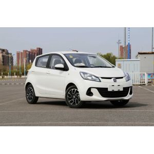 Changan's 2024 Electric Car Adult The Ultimate Combination of Style and