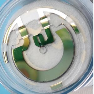 Gold-coated Quartz Pendulum Ideal Solution for Optical Applications