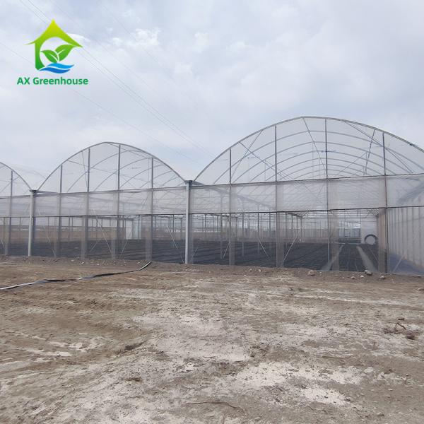 Buy Multiple Span Plastic Greenhouse With Whole Systems at wholesale prices