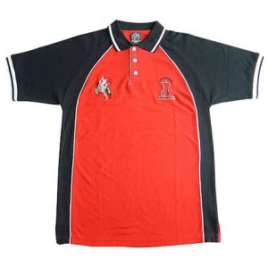 Blank Black Cool Fabric Custom Logo T Shirts V - Neck Collar Avaiolable