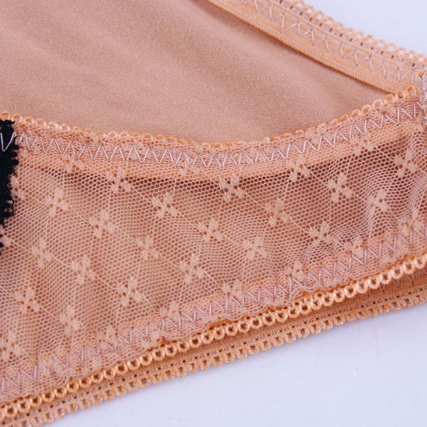 Sanding Milk Fiber Lace Decoration China Imported Underwear