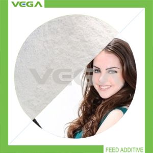 Enrofloxacin China Supplier, Export and Manufacturer