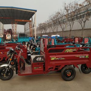 Solar Open 48v 0.8t Electric Tricycle For Elderly