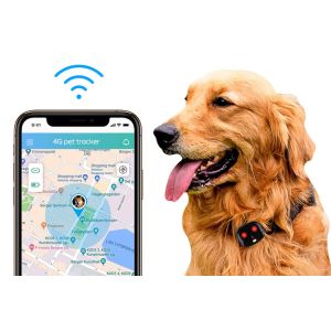 4G Waterproof Gps Tracker For Dogs