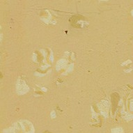 Rubber Flooring Perfect Solution For Slip-Resistant And Shock-Absorbent Spaces