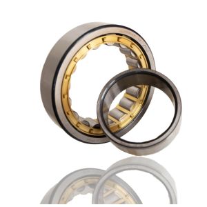 300*460*74 Straight NJ1060M Cylindrical Roller Bearings