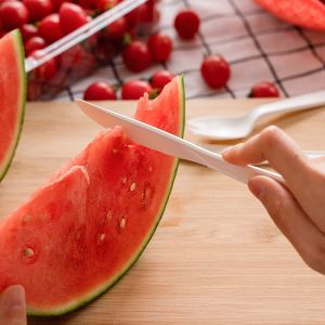 Eco Friendly Compostable Cutlery Pla Plastic Knives Bulk 5.7 inch