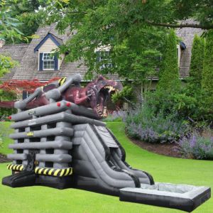 Custom Logo Printed Inflatable PVC Tarpaulin Water Slide Boat for Water